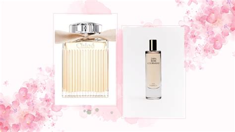 chloe chloe perfume dupe|zara rose gourmand dupe for.